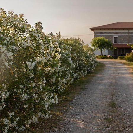 Villa Agri Charme Tenuta Picilli Albanella Exterior foto
